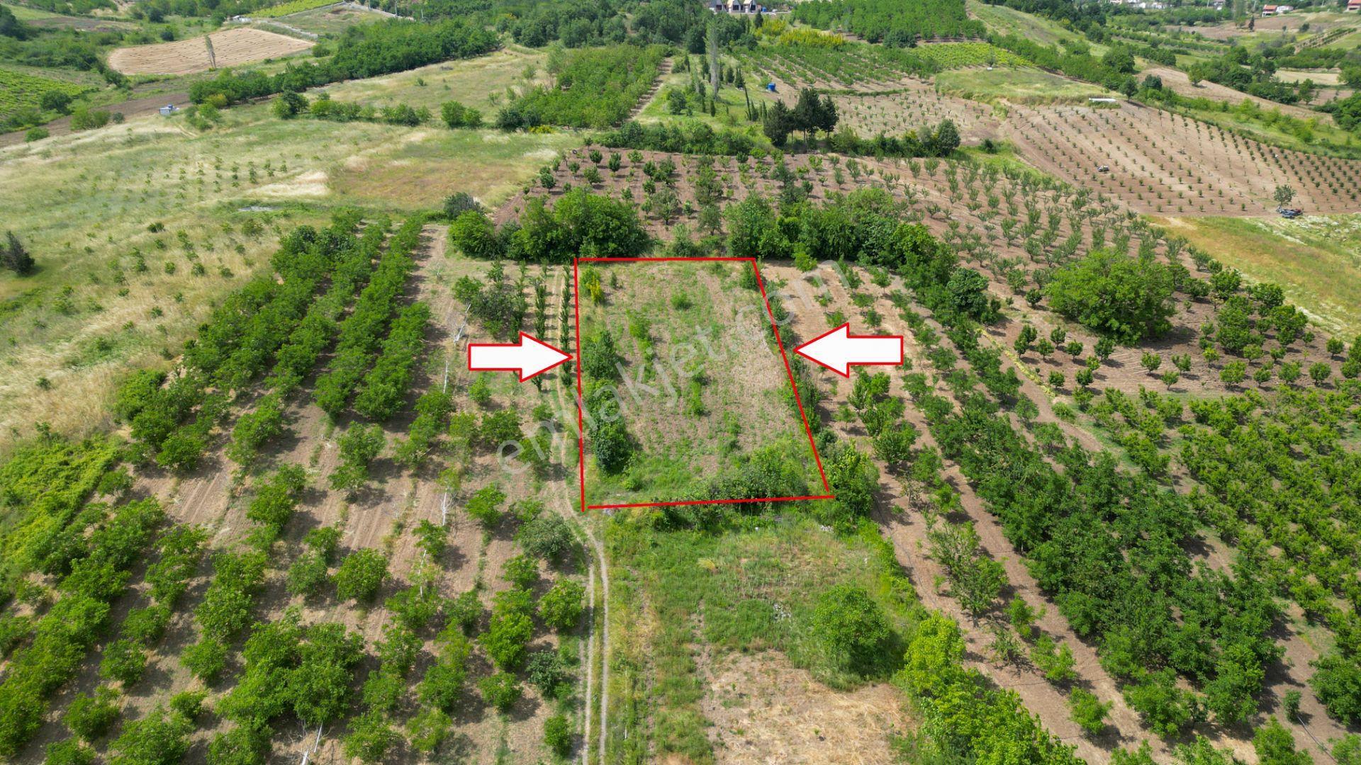 Kocaeli Karamürsel Akçat %5 İmarlı 1955 M2 Satılık Tarla