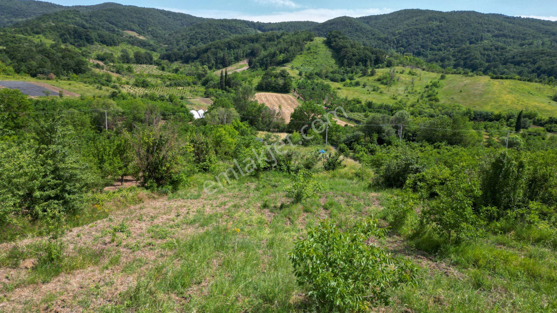 Kocaeli Karamürsel Akçat %5 İmarlı 1955 M2 Satılık Tarla - Görsel 10