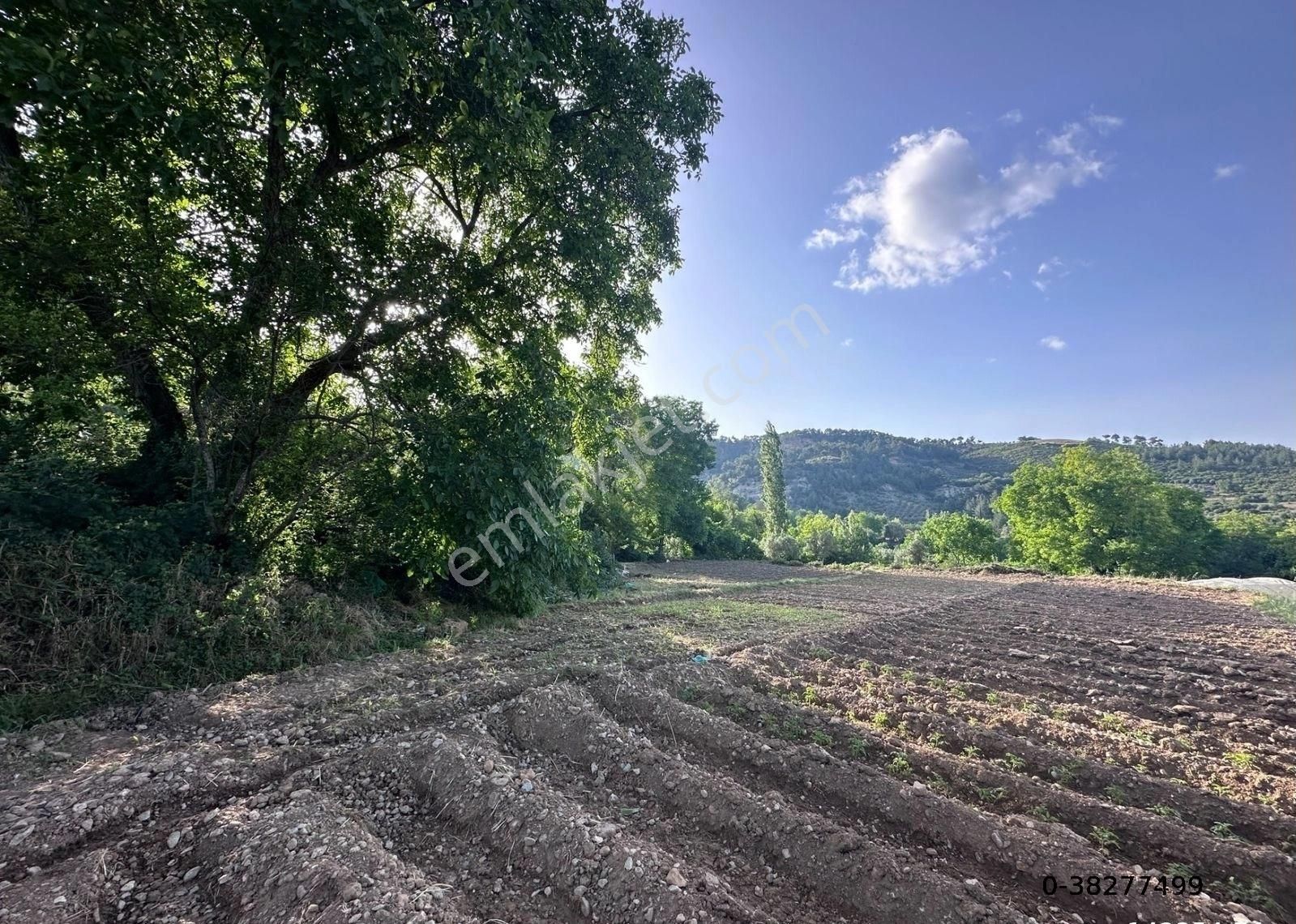 Muğla Menteşe Kuzluk Köyünde 350 M2 Köyiçi İmarlı Satılık Tarla - Görsel 8