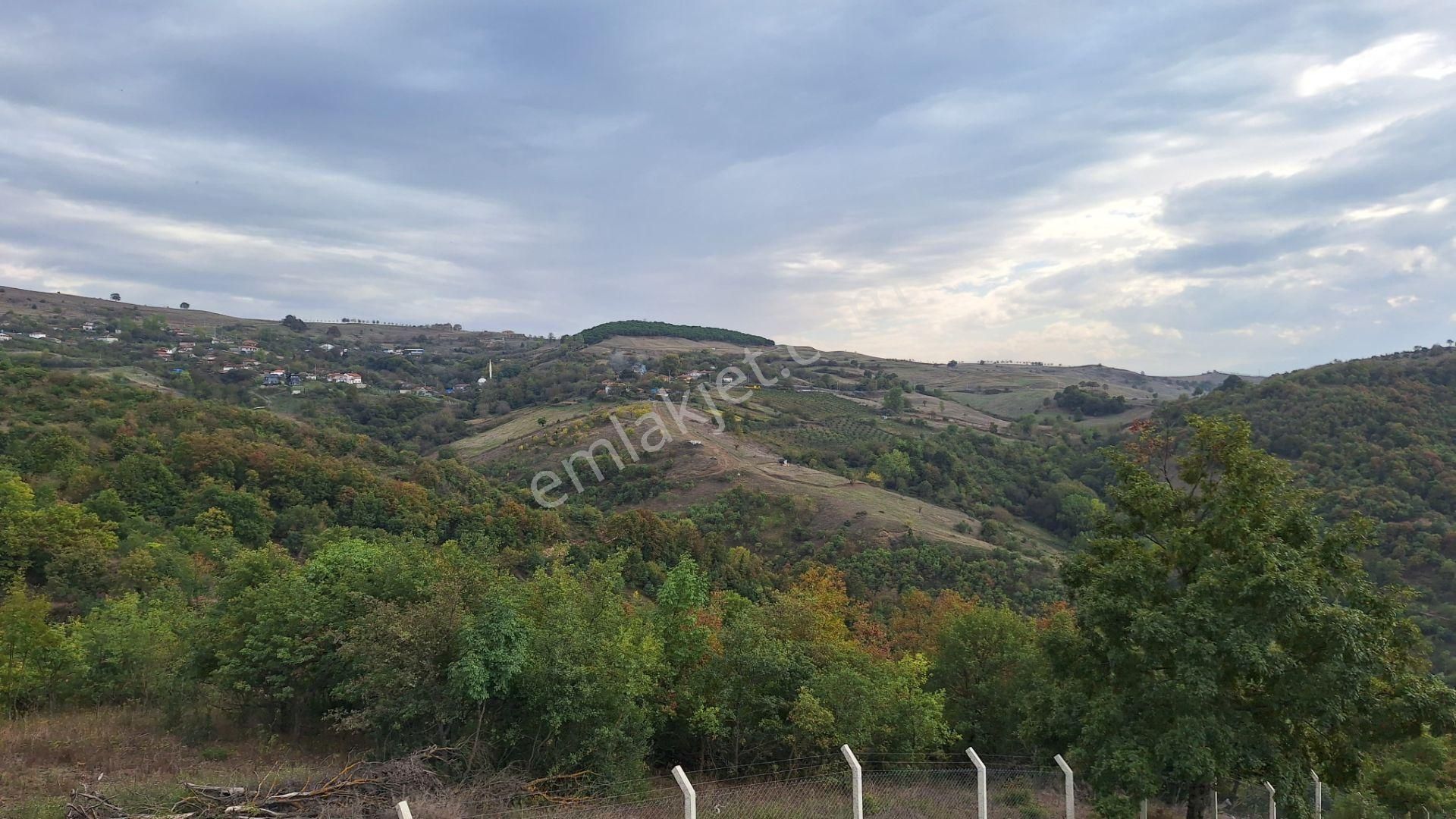 Kocaeli Karamürsel Fulacık 3257 M2 Arazi İçinde Dubleks Ahşap Ev - Görsel 16