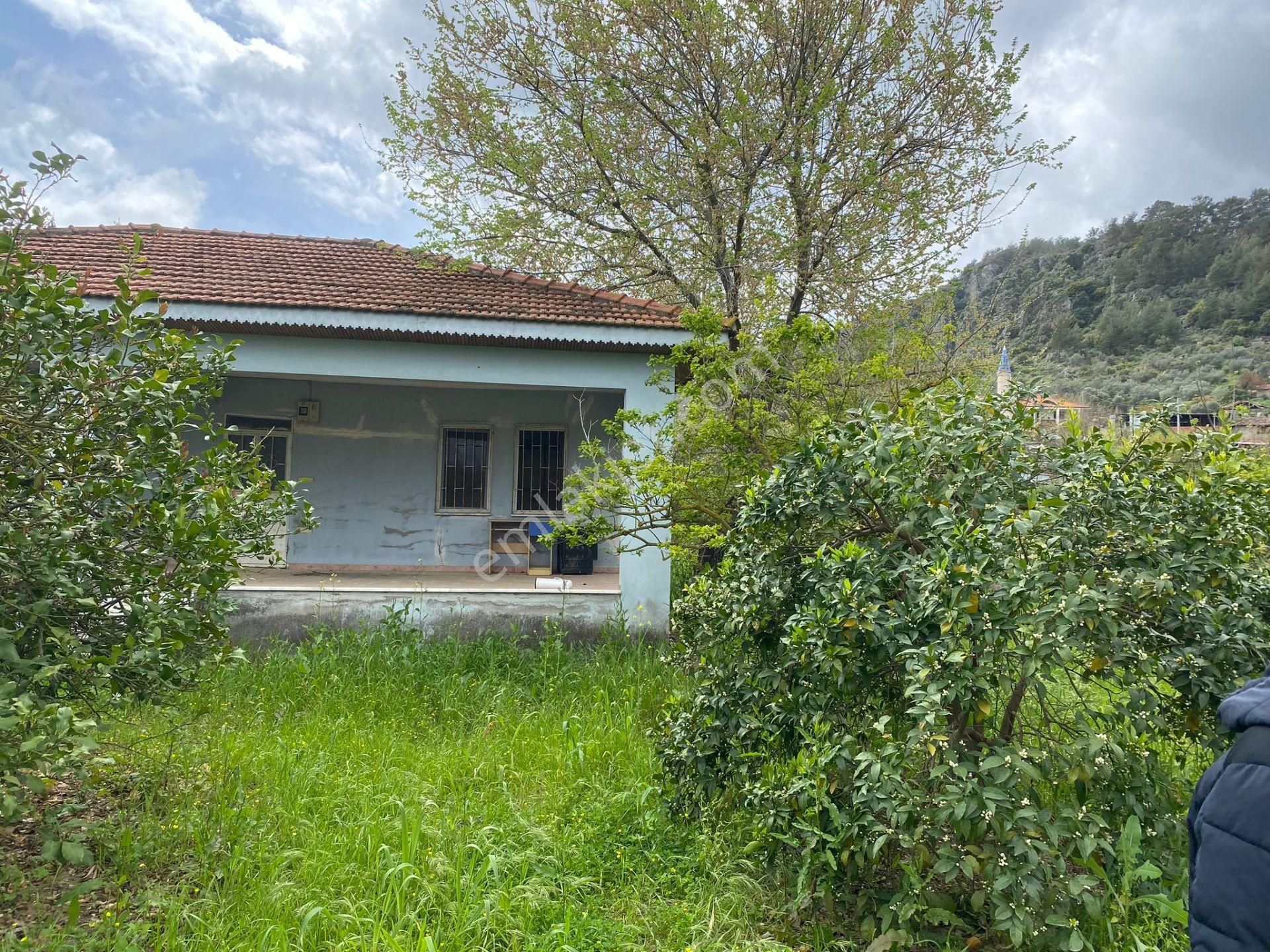Turyap'tan Muğla Ortaca'da 11,961 M²tarla İçinde 70 M² Köyevi - Görsel 3