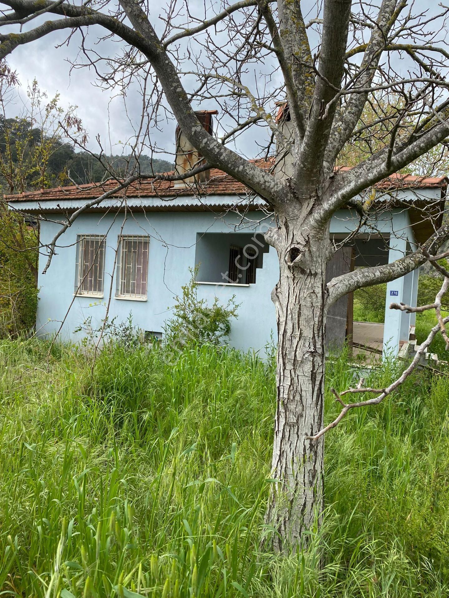 Turyap'tan Muğla Ortaca'da 11,961 M²tarla İçinde 70 M² Köyevi - Görsel 14