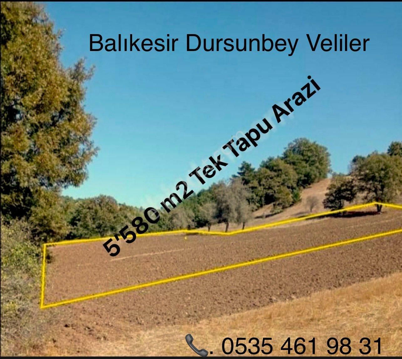 Dursunbey Veliler Satılık Tarla Tek tapu sahibinden 5580 m2