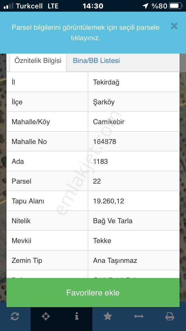 Şarköyde Işık Emlaktan Camikebir Mah De 19260 M2 Zeytinlik - Görsel 29