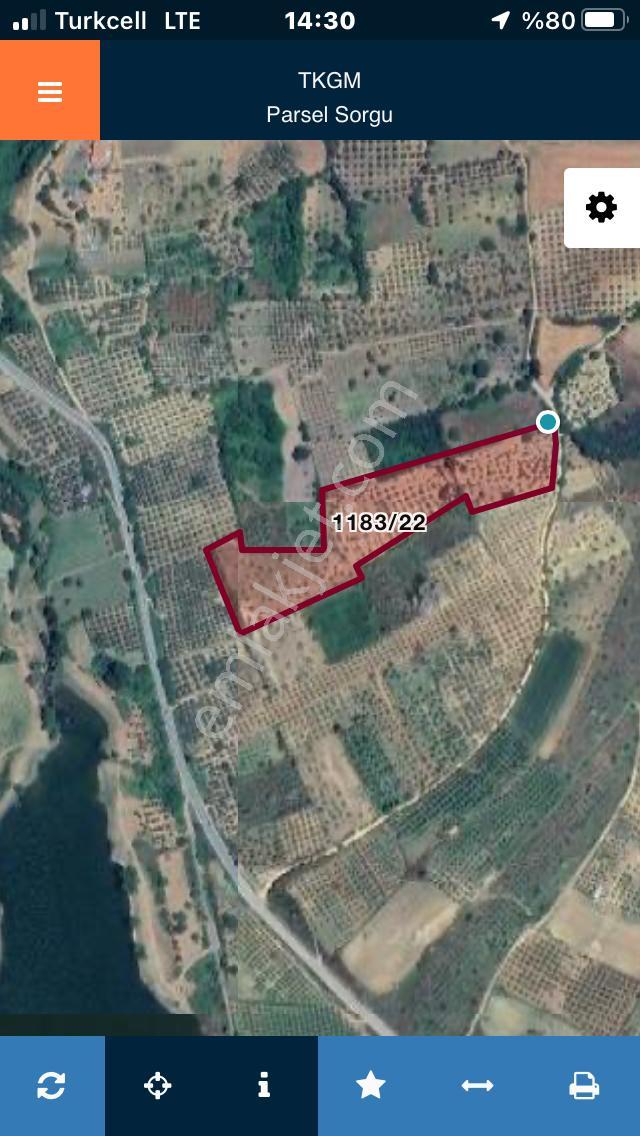 Şarköyde Işık Emlaktan Camikebir Mah De 19260 M2 Zeytinlik - Görsel 30