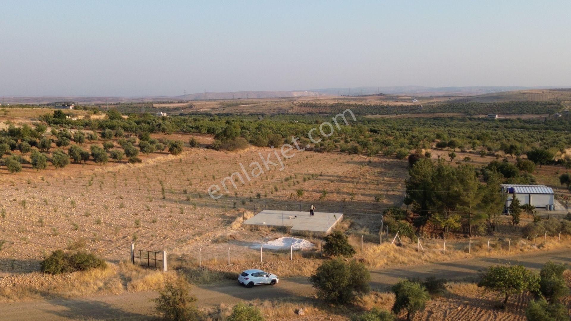 Şahinbey Kürüm Satılık Tarla Çetin Emlak'tan.kürümde Yatırımlık Arazi