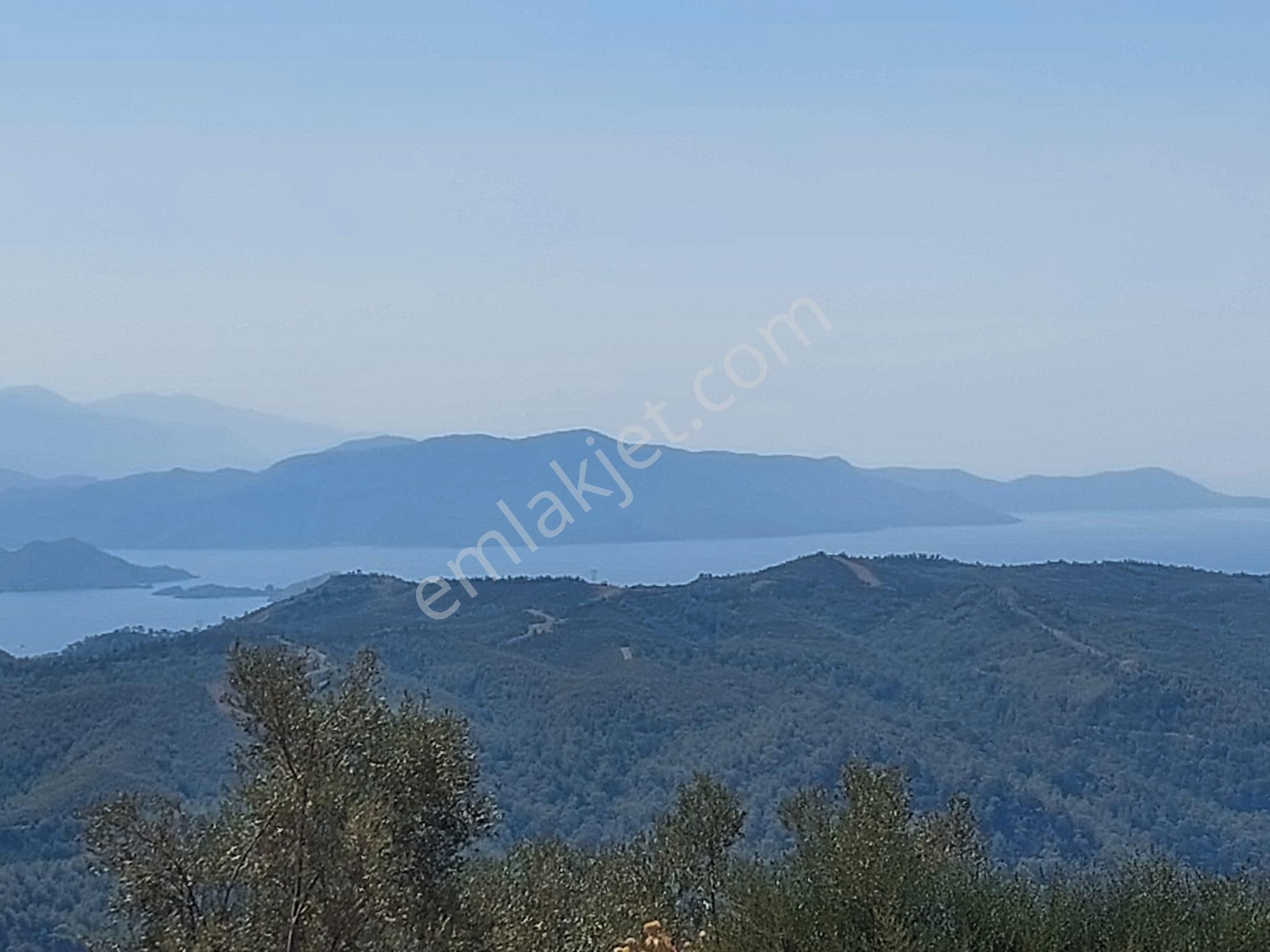 Fethiye Gökçeovacık Satılık Tarla Goldhouse Gayrimenkul Den Satılık Gökçeovacık Ta Deniz Manzaralı Fırsat Tarla