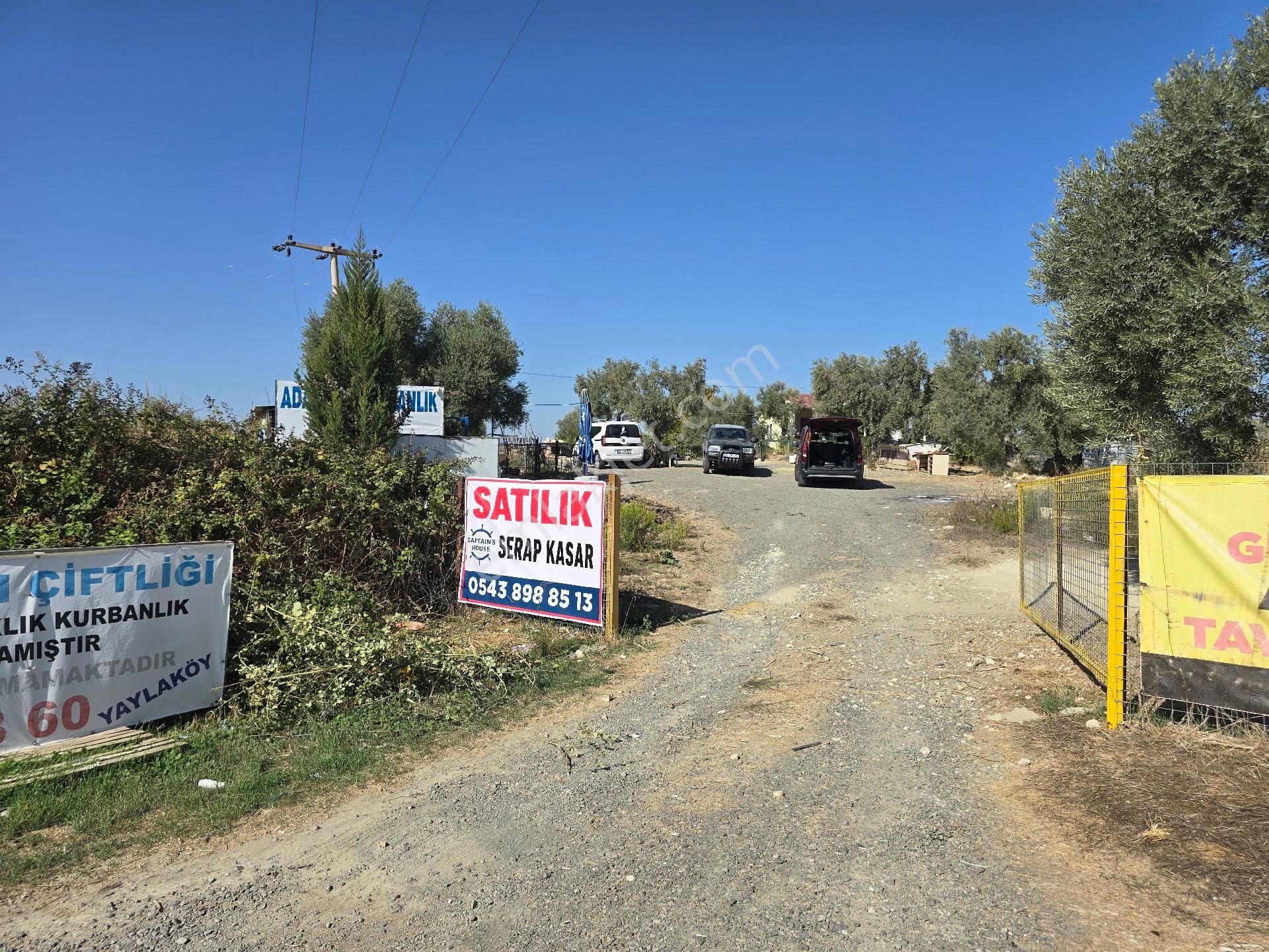 Kuşadası Yaylaköy Satılık Zeytinlik Kuşadası Yaylaköyünde Sökeyolu Üzerinde Satılk Deniz Manzaralı Arazi