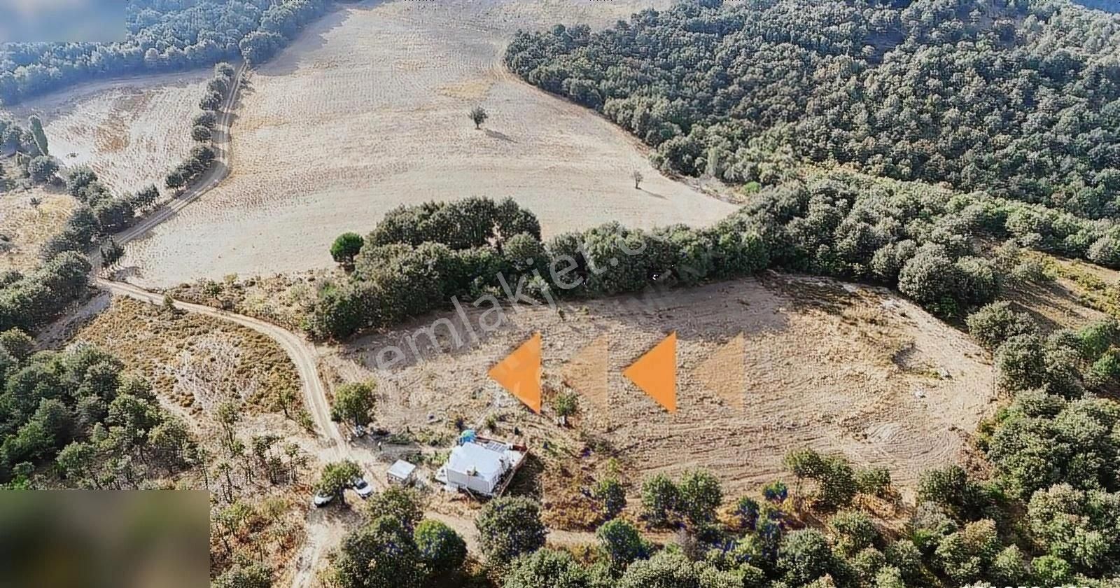 Gönen Kavakalan Satılık Tarla ZEYBEK EMLAKTAN KAVAKALAN'DA 5000 M2 ARAZİMİZ SATILIKTIR