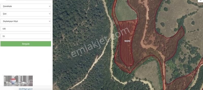 Çan Zeybekçayır Köyü Satılık Ticari İmarlı SATILIK ÇAN ZEYBEKÇAYIR KÖYÜ 4900 m2 KAVAKLIK SU ALTI DERE KENAR