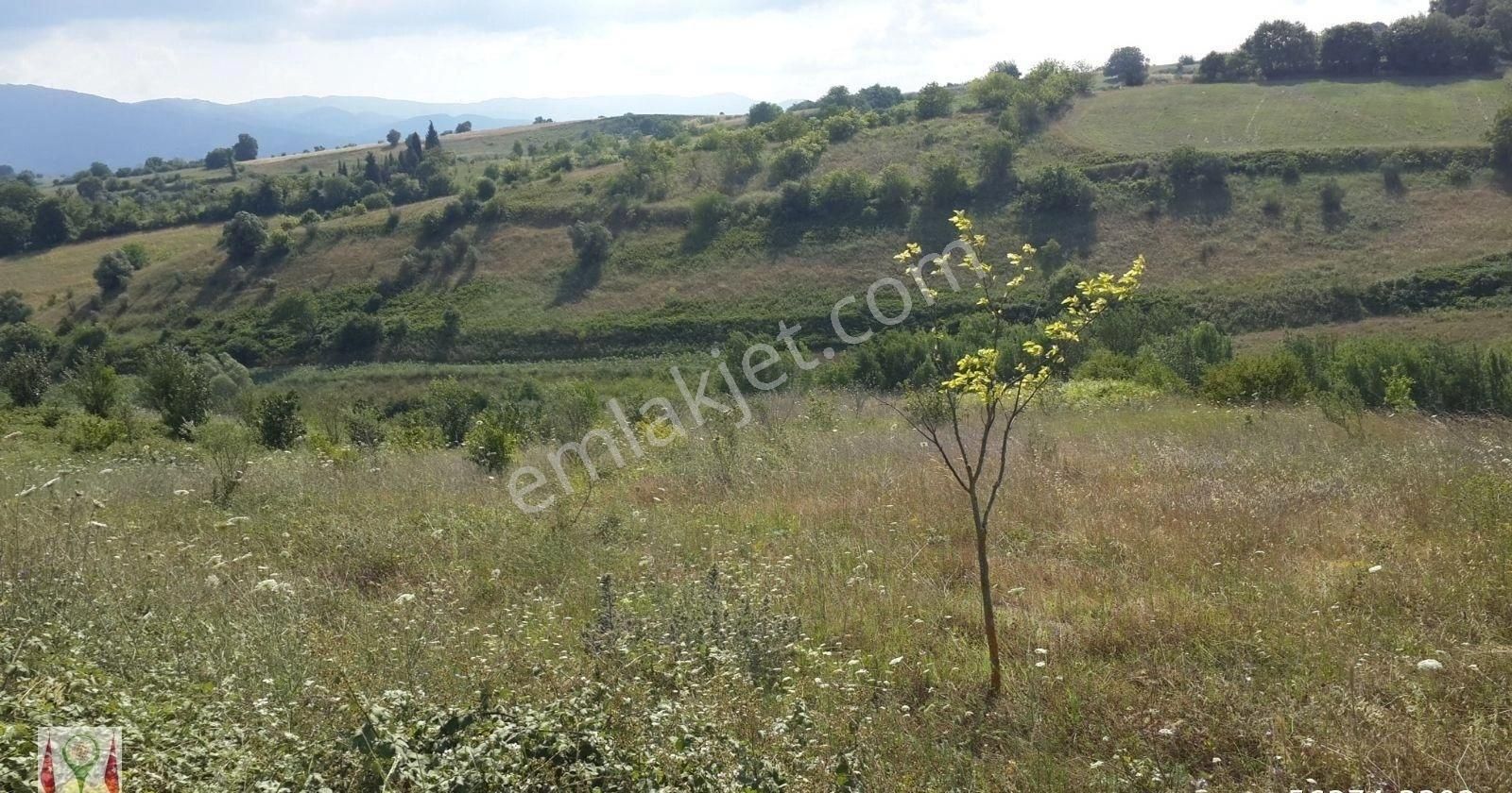 Karamürsel Yalakdere Satılık Tarla Satılık Tarla 13286 M2 Kocaeli Karamürsel Yalakdere Uzmanlar'dan