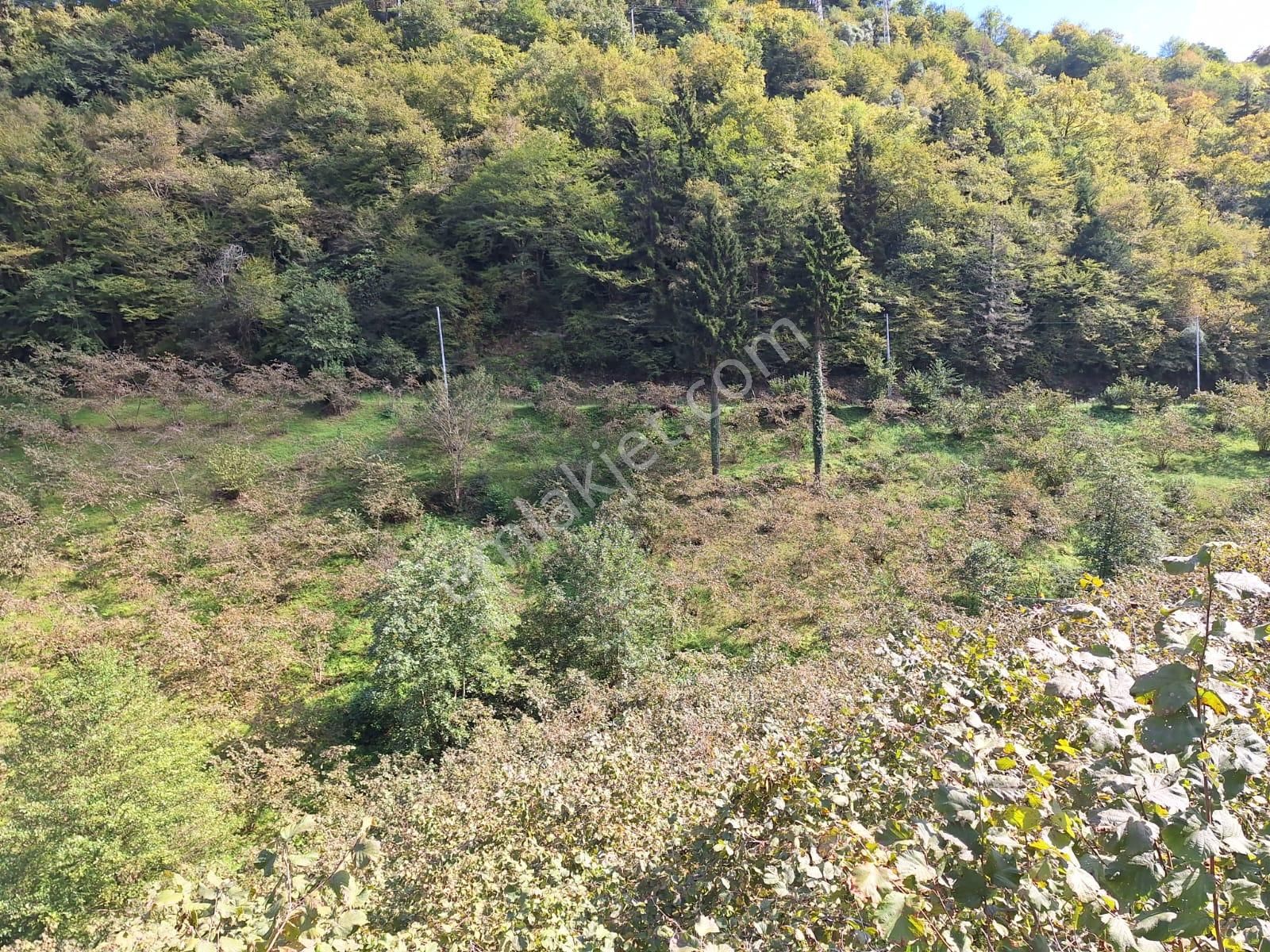 Kaşüstü Mah. Satılık ,yola Cepheli;düşük Eğimli Arazi 5.250m2!! - Görsel 18