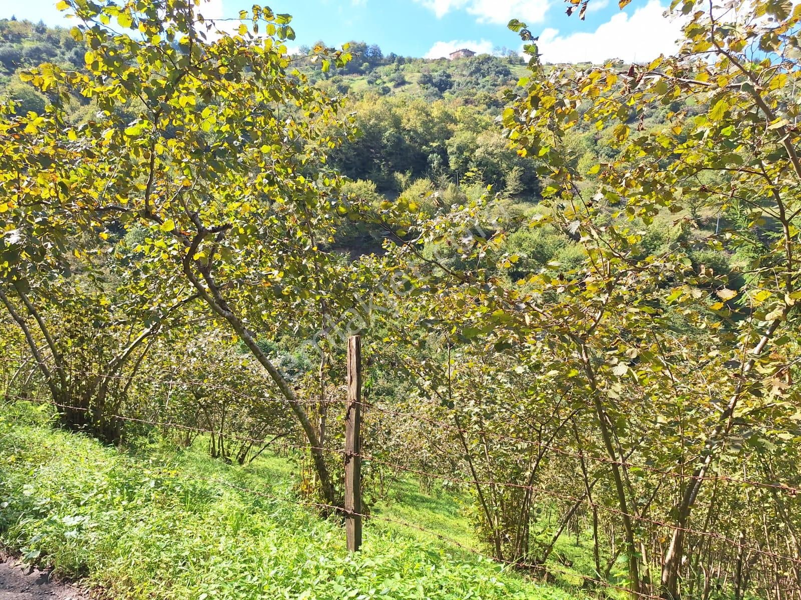 Kaşüstü Mah. Satılık ,yola Cepheli;düşük Eğimli Arazi 5.250m2!! - Görsel 9