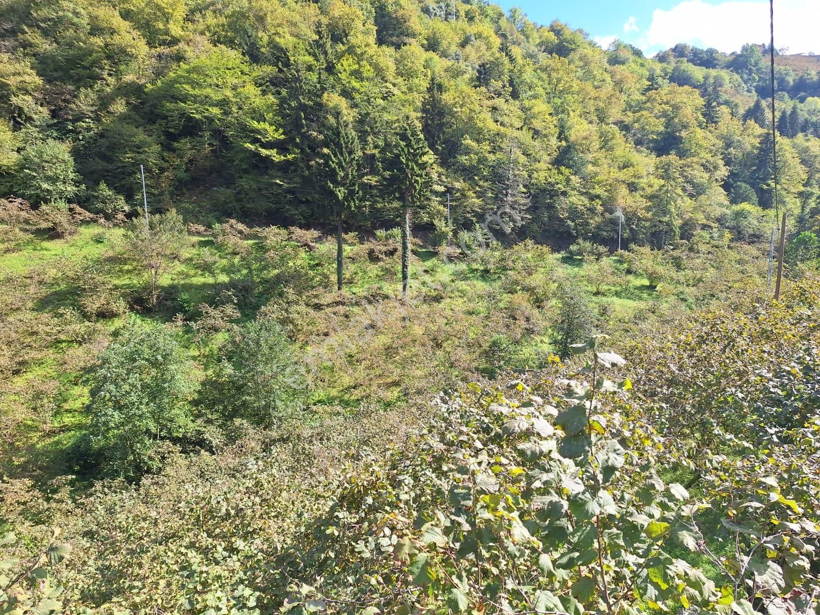 Kaşüstü Mah. Satılık ,yola Cepheli;düşük Eğimli Arazi 5.250m2!! - Görsel 7