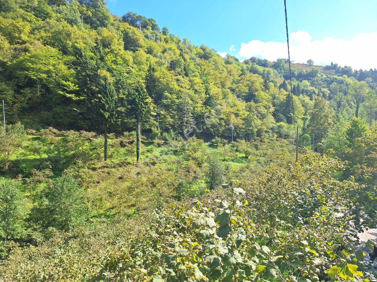 Kaşüstü Mah. Satılık ,yola Cepheli;düşük Eğimli Arazi 5.250m2!! - Görsel 4