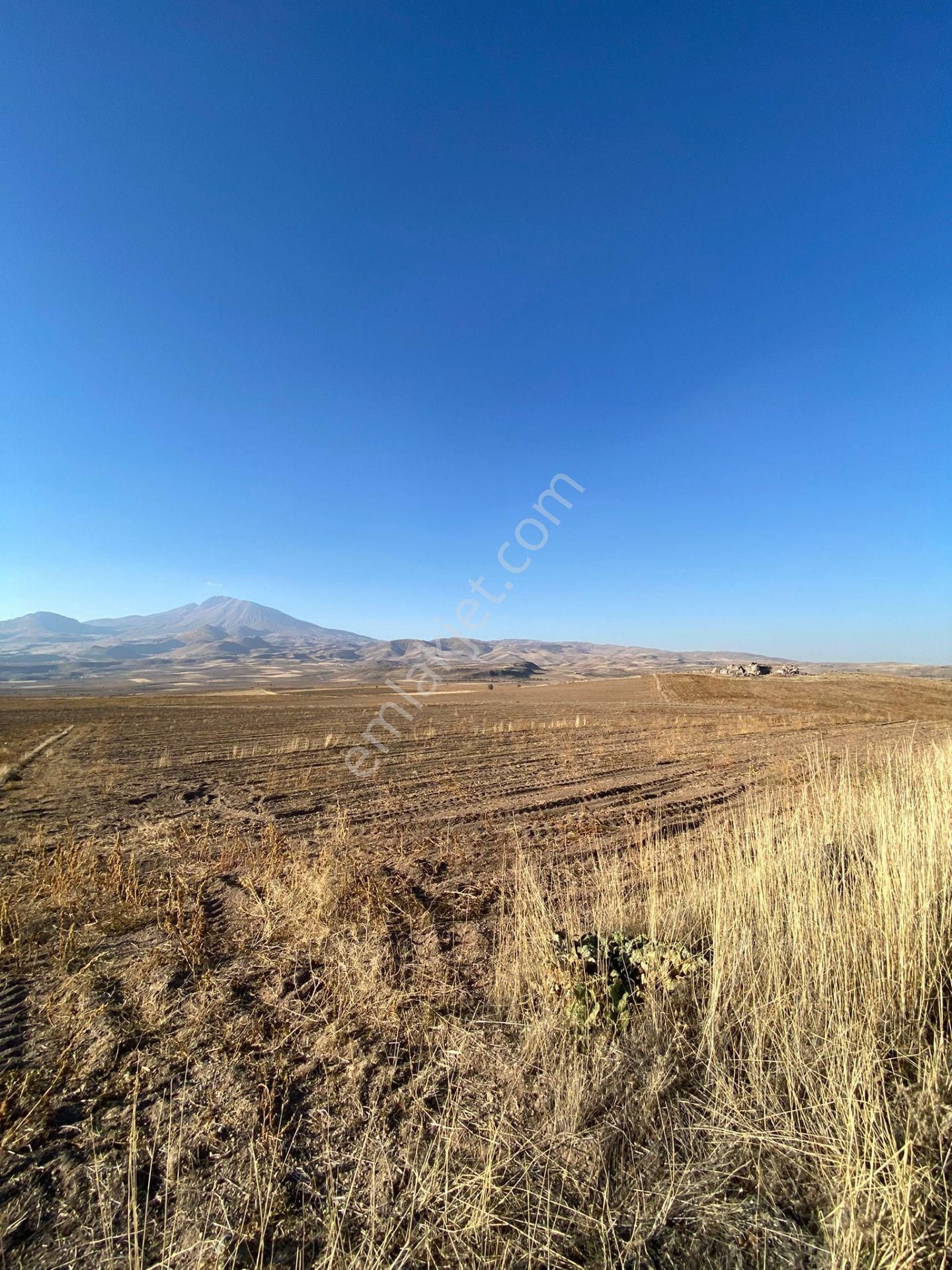 Öz Gaye Emlaktan Develi Ayvazhacı Mahallesinde Satılık 4366 M2 Tarla