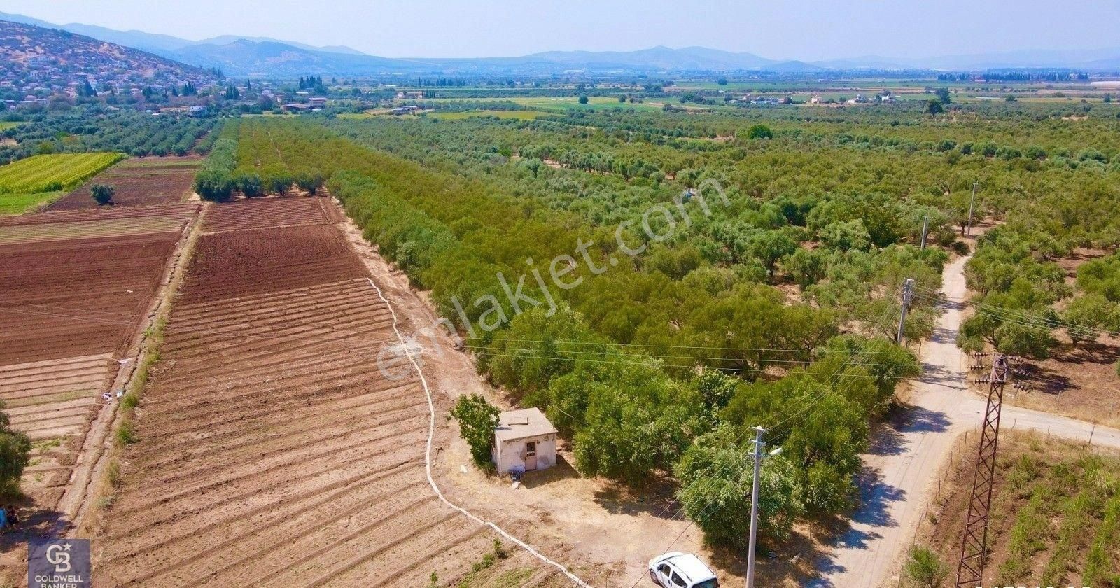 Milas Ağaçlıhüyük Satılık Tarla Milas Ağaçlıhöyük Köyünde Yola Cepheli Çiftlik Ve Tarım Arazisi