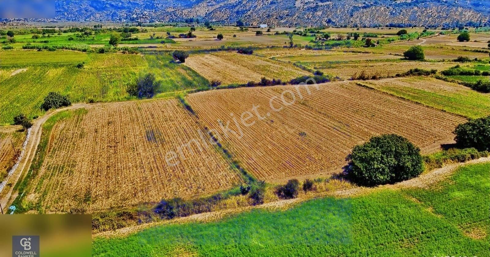 Milas Bafa Satılık Tarla Milas ,bafa Gölüne Komşu Tarım Arazisi