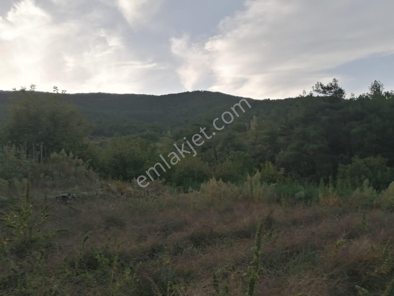 İzmir Torbalı Gold Emlaktan Alankıyıda Satılık Sebze Bahçesi - Görsel 10