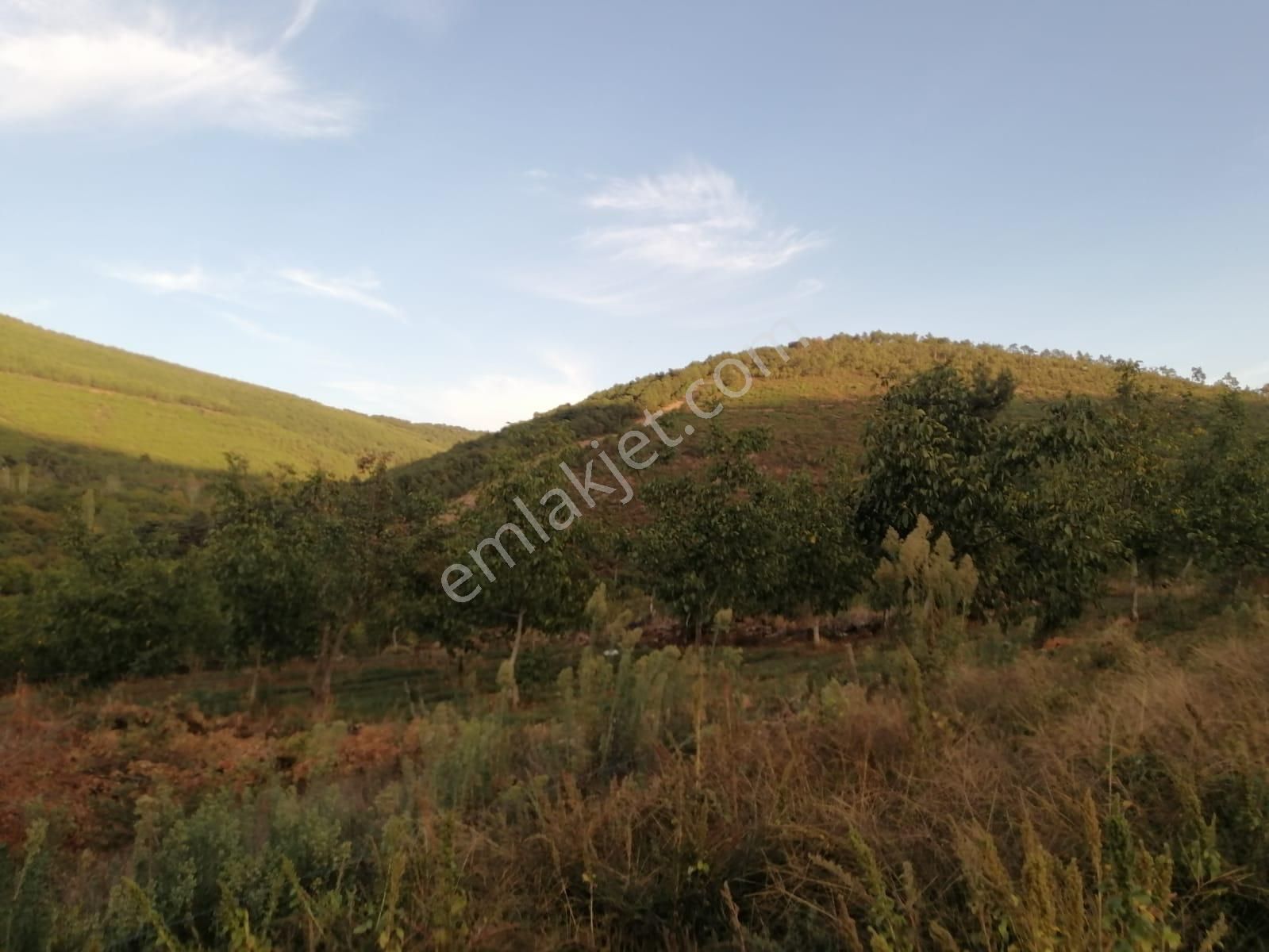 İzmir Torbalı Gold Emlaktan Alankıyıda Satılık Sebze Bahçesi - Görsel 2