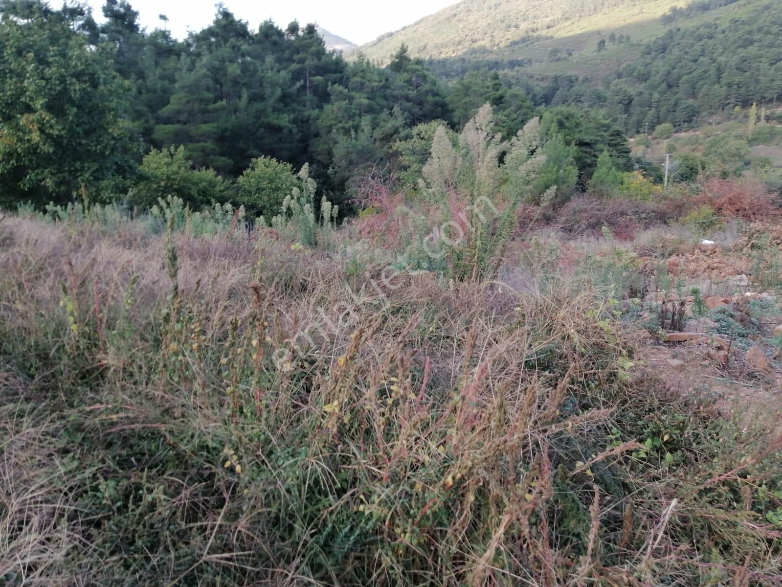 İzmir Torbalı Gold Emlaktan Alankıyıda Satılık Sebze Bahçesi - Görsel 7