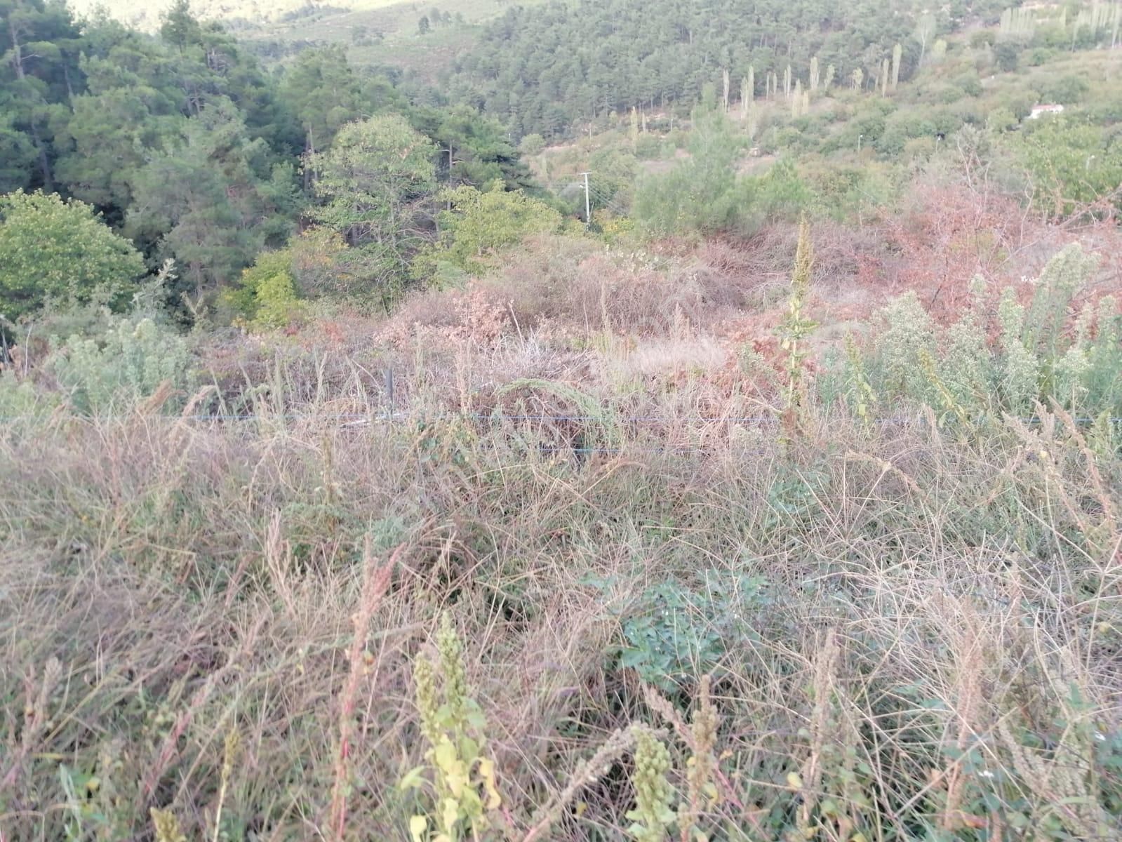 İzmir Torbalı Gold Emlaktan Alankıyıda Satılık Sebze Bahçesi - Görsel 6