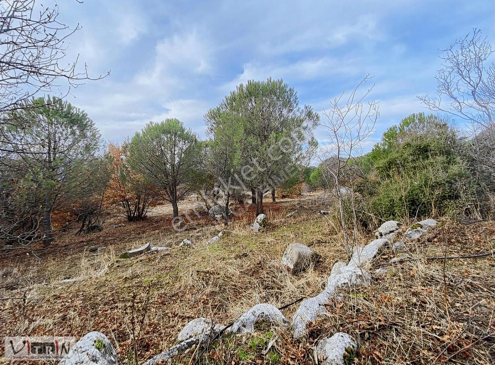 Vitrinden Yeni Trend Bağyüzünde 2652 M2 Bağ - Görsel 20