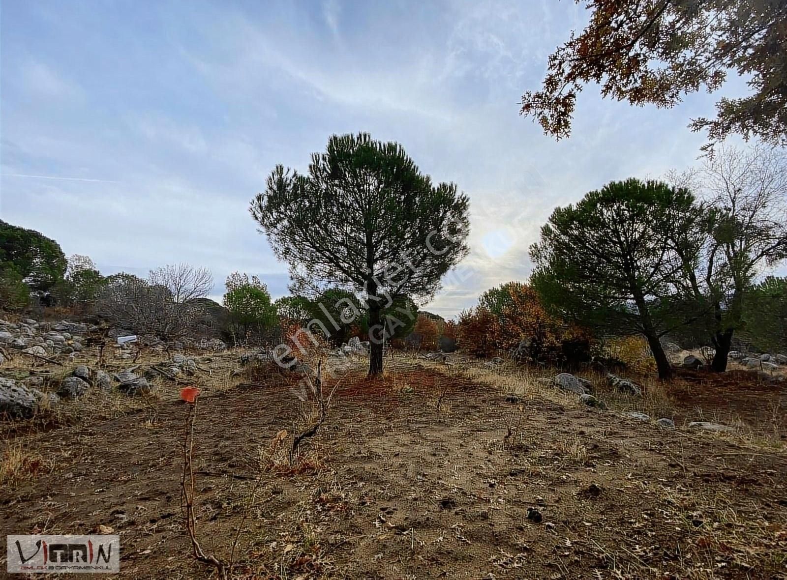 Vitrinden Yeni Trend Bağyüzünde 2652 M2 Bağ - Görsel 29