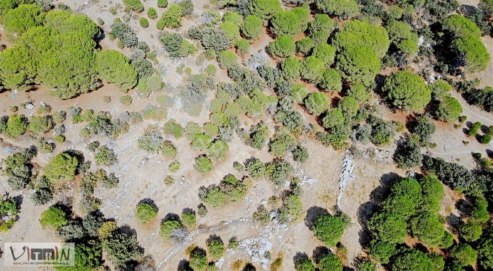 Vitrinden Yeni Trend Bağyüzünde 2652 M2 Bağ - Görsel 17