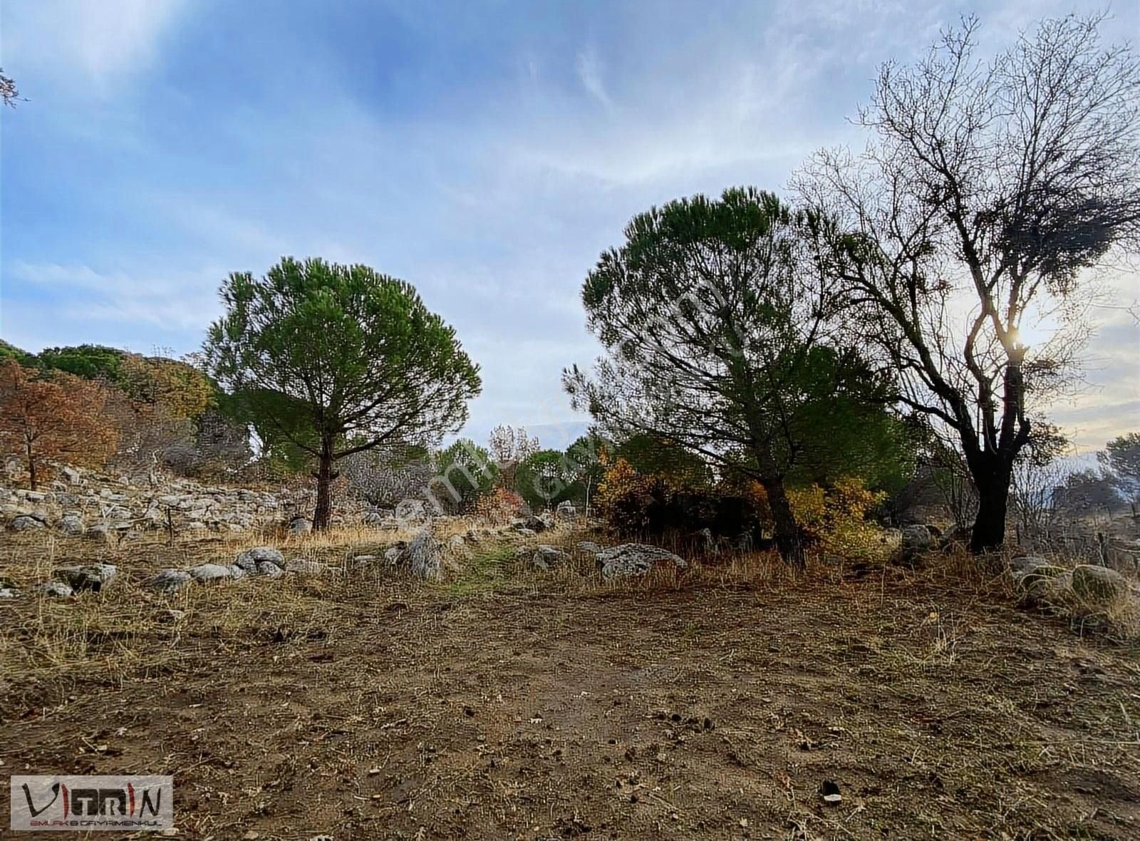 Vitrinden Yeni Trend Bağyüzünde 2652 M2 Bağ - Görsel 14