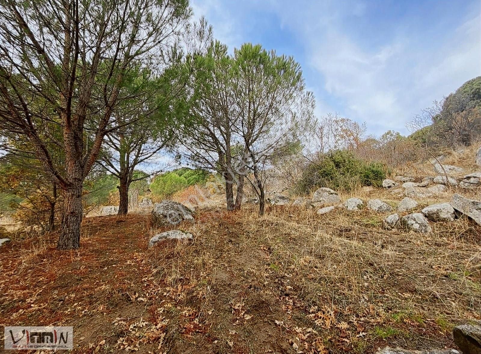 Vitrinden Yeni Trend Bağyüzünde 2652 M2 Bağ - Görsel 23