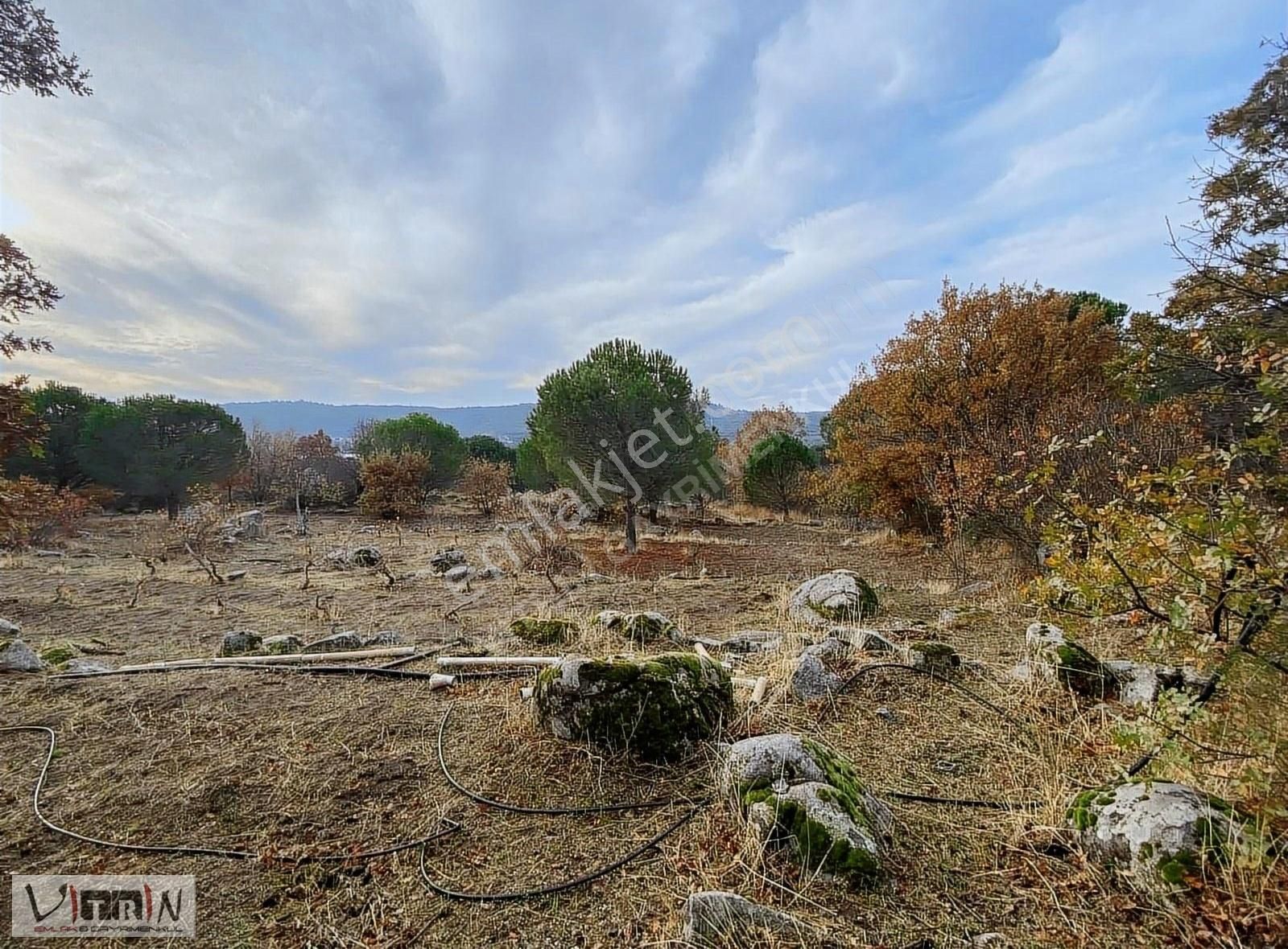 Vitrinden Yeni Trend Bağyüzünde 2652 M2 Bağ - Görsel 28