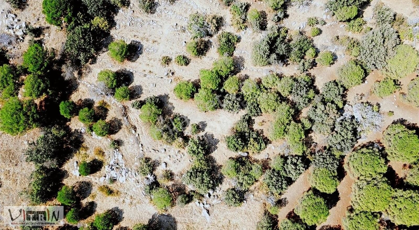 Vitrinden Yeni Trend Bağyüzünde 2652 M2 Bağ - Görsel 25