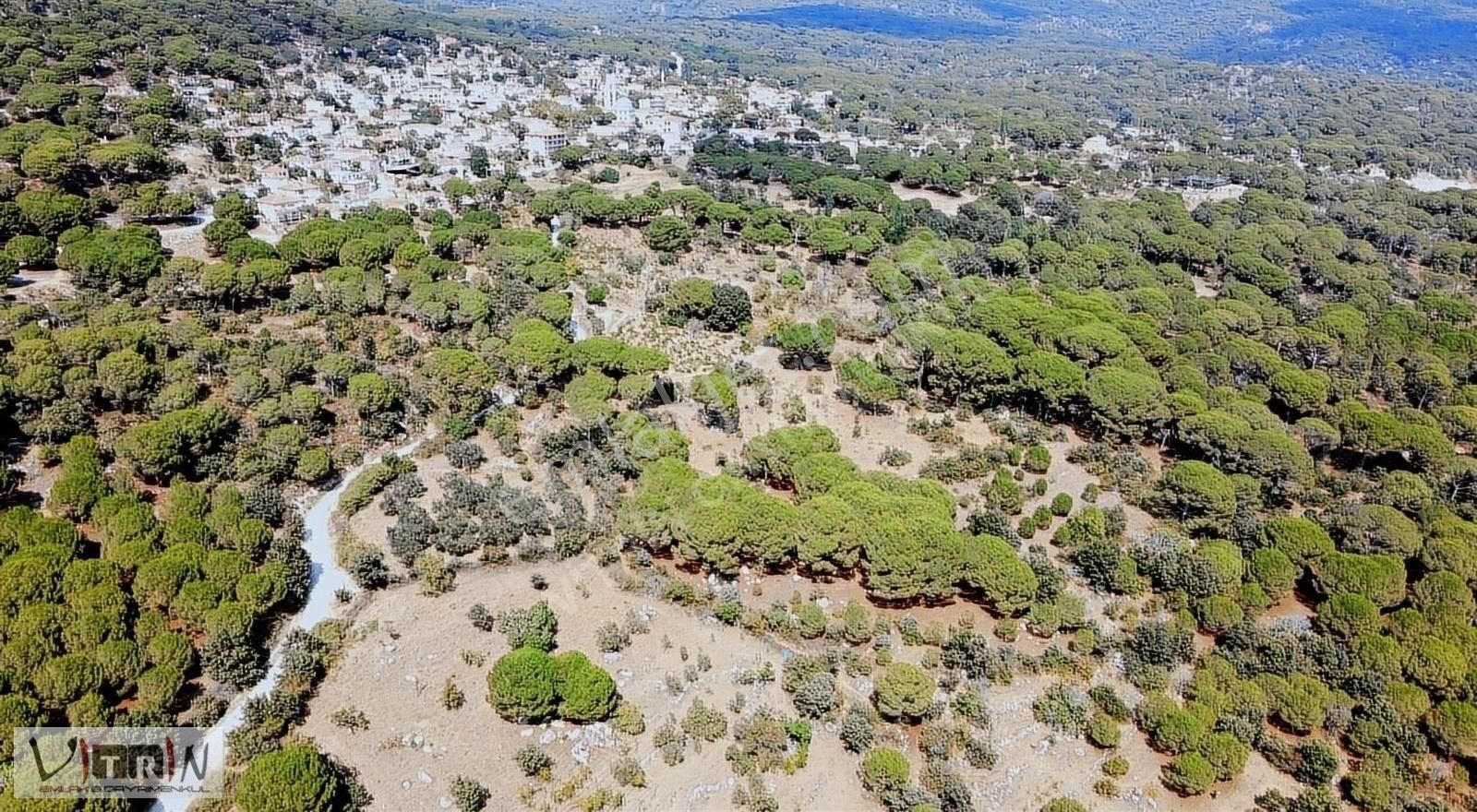 Vitrinden Yeni Trend Bağyüzünde 2652 M2 Bağ - Görsel 15