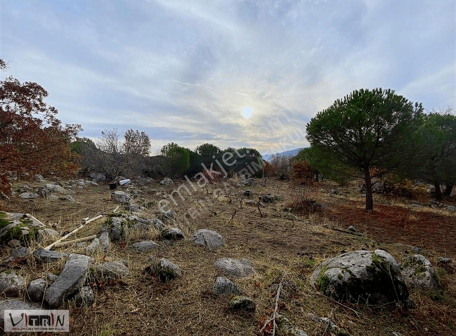 Vitrinden Yeni Trend Bağyüzünde 2652 M2 Bağ - Görsel 13