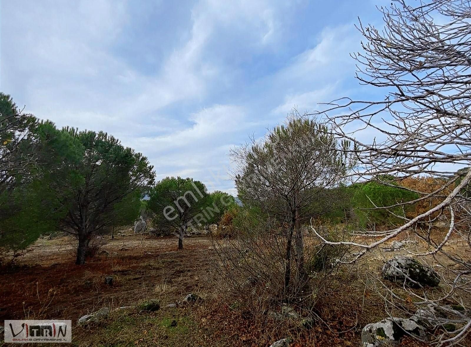 Vitrinden Yeni Trend Bağyüzünde 2652 M2 Bağ - Görsel 21