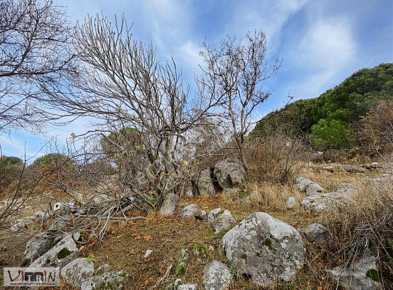 Vitrinden Yeni Trend Bağyüzünde 2652 M2 Bağ - Görsel 6