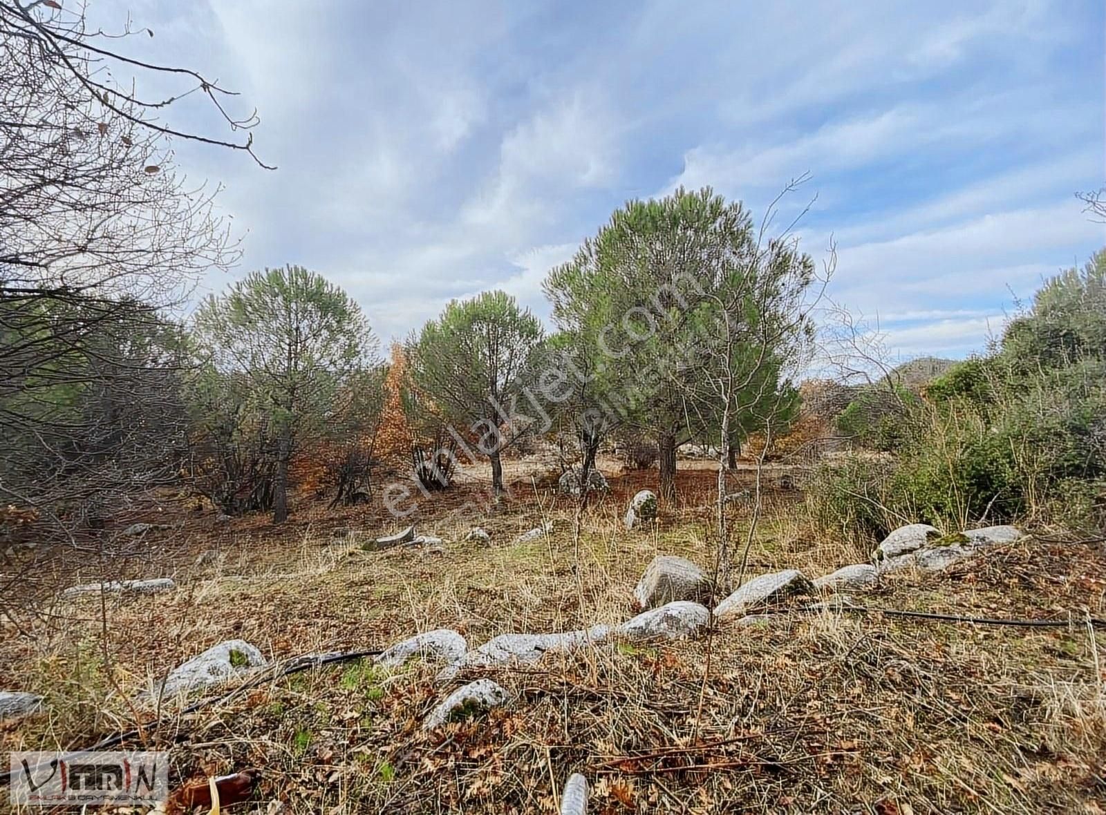 Vitrinden Yeni Trend Bağyüzünde 2652 M2 Bağ - Görsel 33