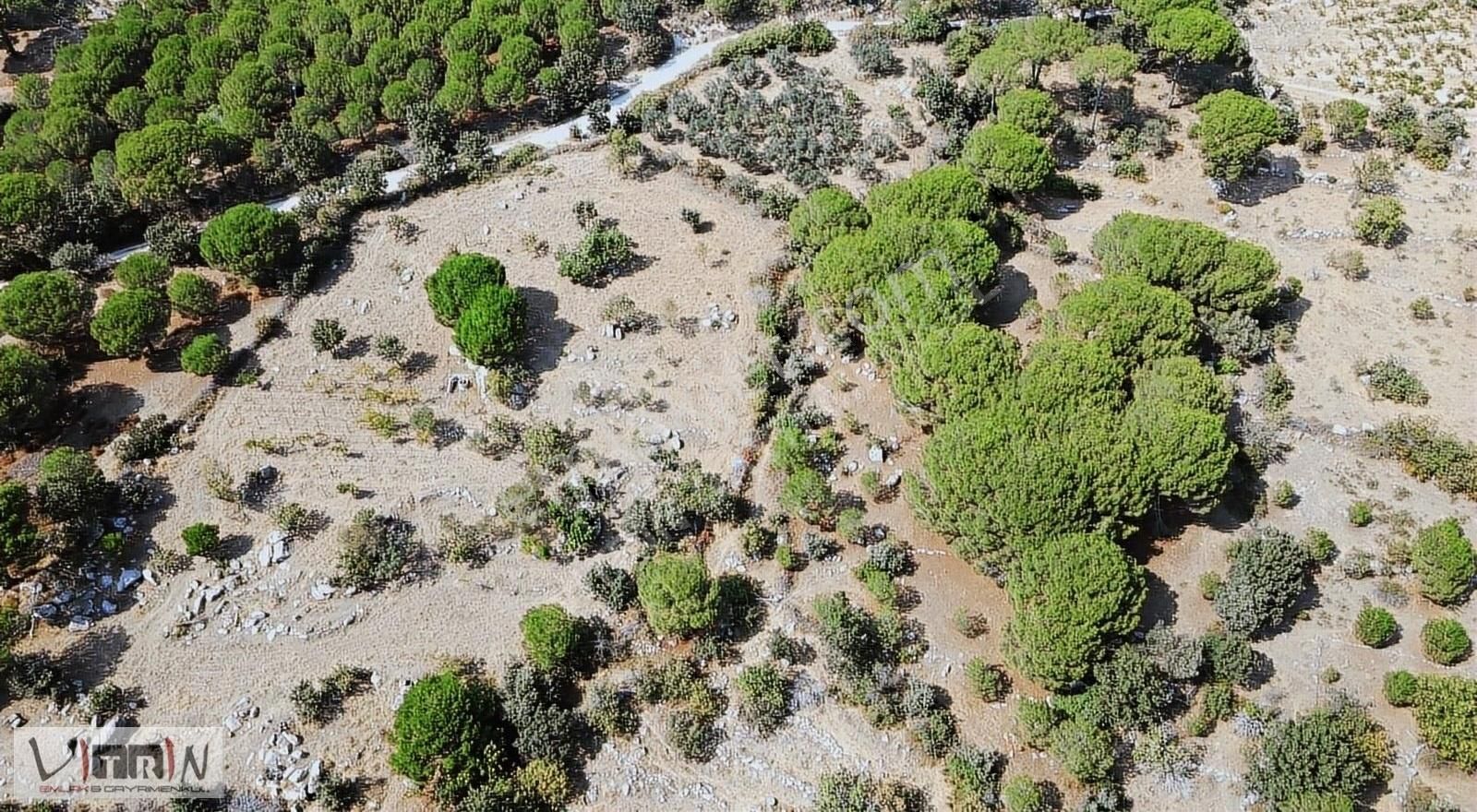 Vitrinden Yeni Trend Bağyüzünde 2652 M2 Bağ - Görsel 27