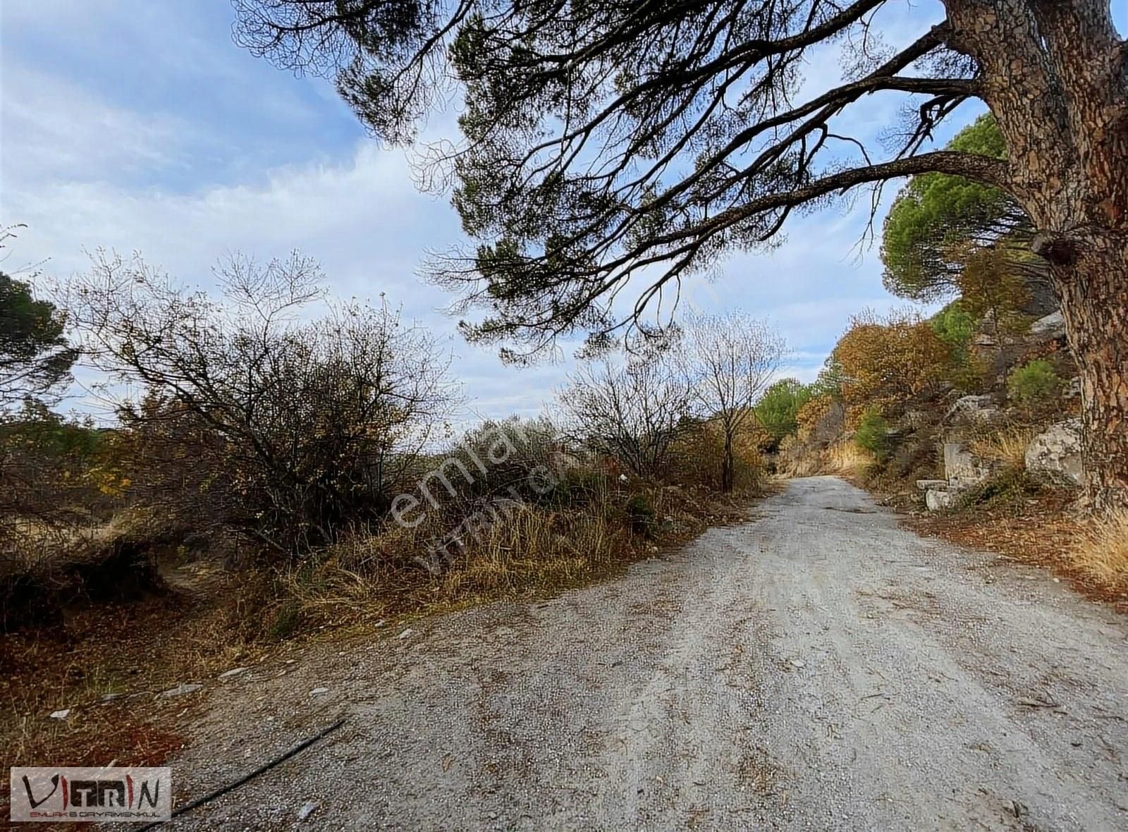 Vitrinden Yeni Trend Bağyüzünde 2652 M2 Bağ - Görsel 32