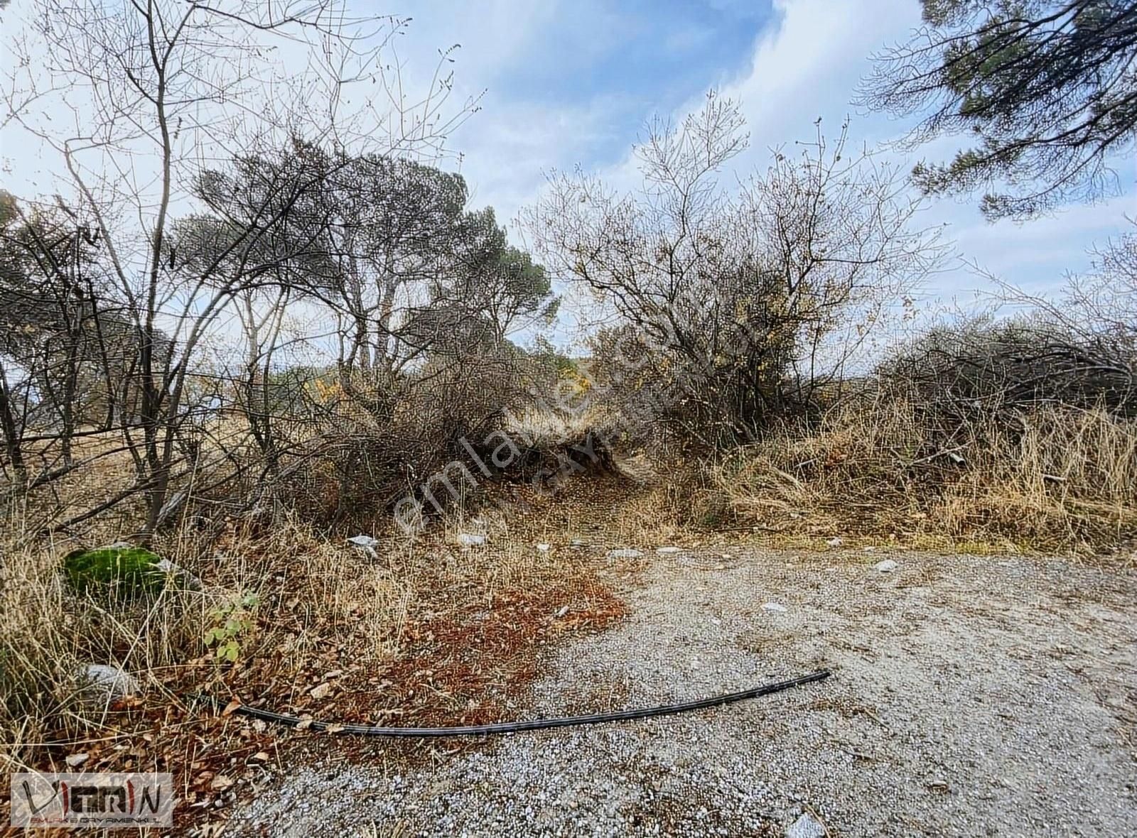 Vitrinden Yeni Trend Bağyüzünde 2652 M2 Bağ - Görsel 19