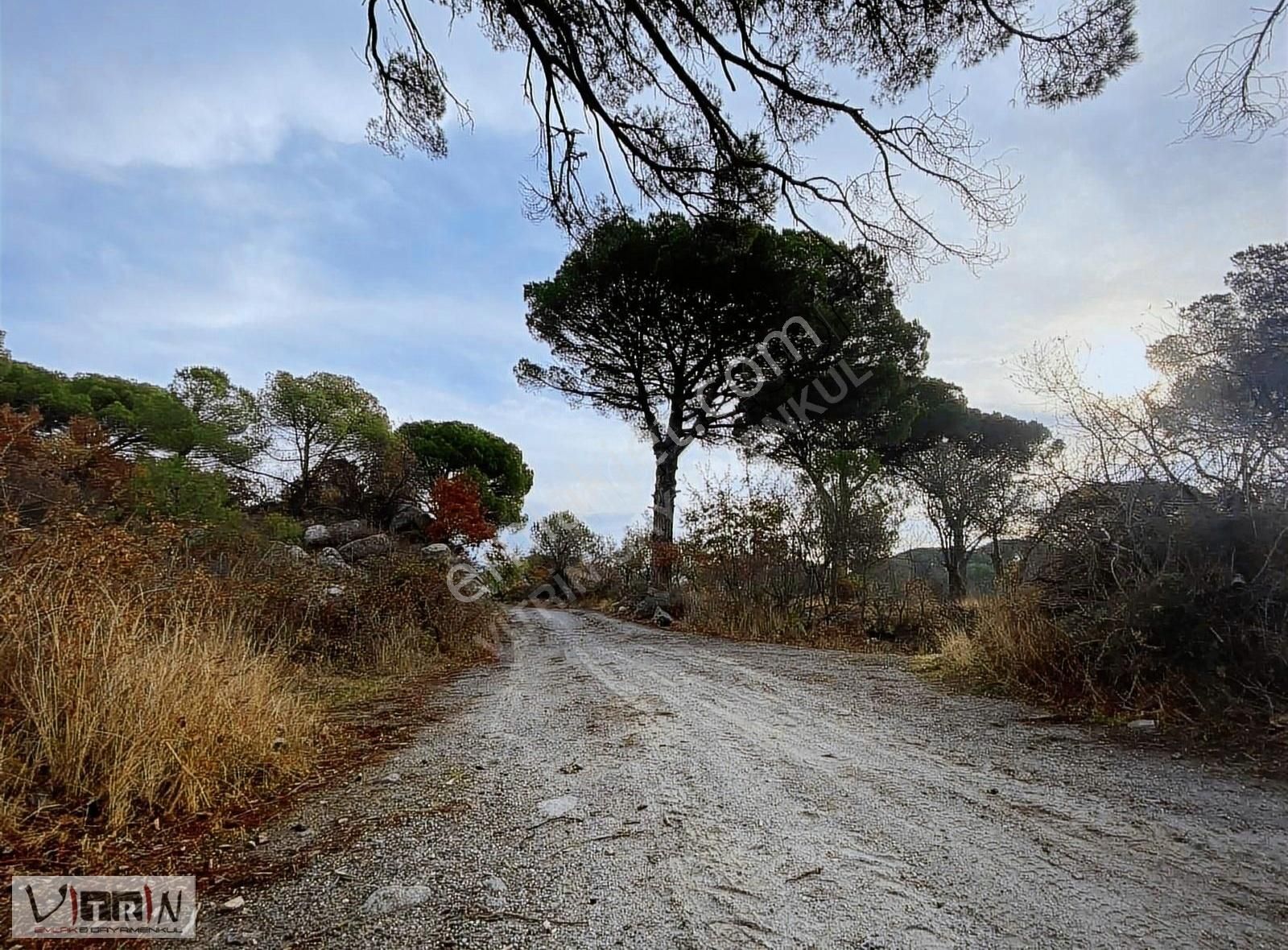 Vitrinden Yeni Trend Bağyüzünde 2652 M2 Bağ - Görsel 24