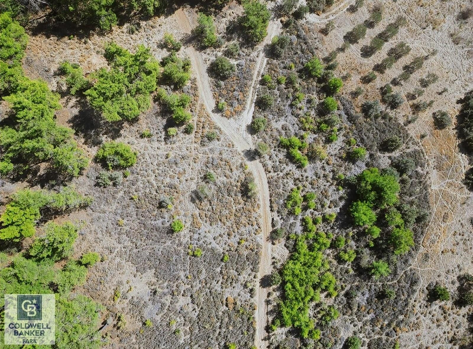 Dikili Gökçeağıl Satılık Tarla İzmir Dikili'de Satılık Tarla