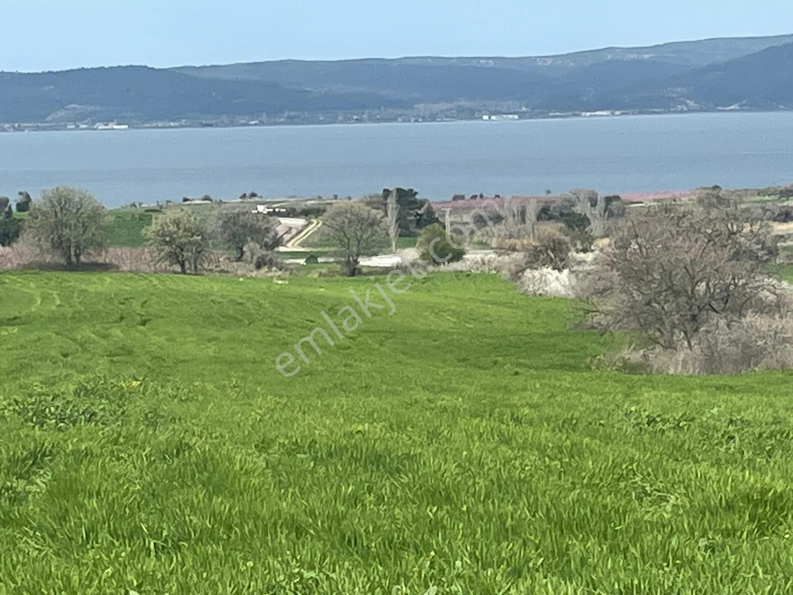 Lapseki Suluca Köyü Satılık Tarla  ÇANAKKALE LAPSEKİ SULUCA BOĞAZ MANZARALI SATILIK PARSEL HİSSESİ