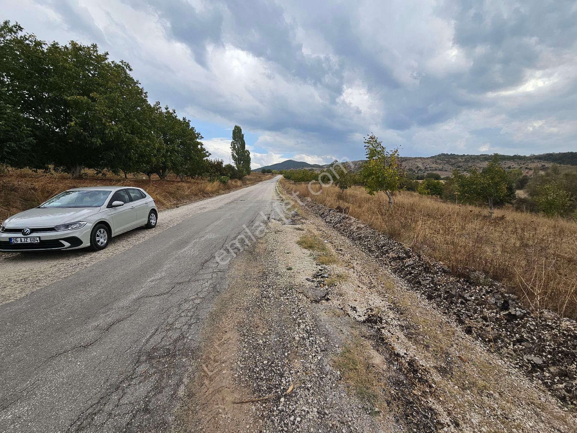 Gölpazarı Türkmen Köyü Satılık Tarla Sevgim'den Gölpazarı Türkmen Köyü'nde Satılık 5829 Mt2 Tarla