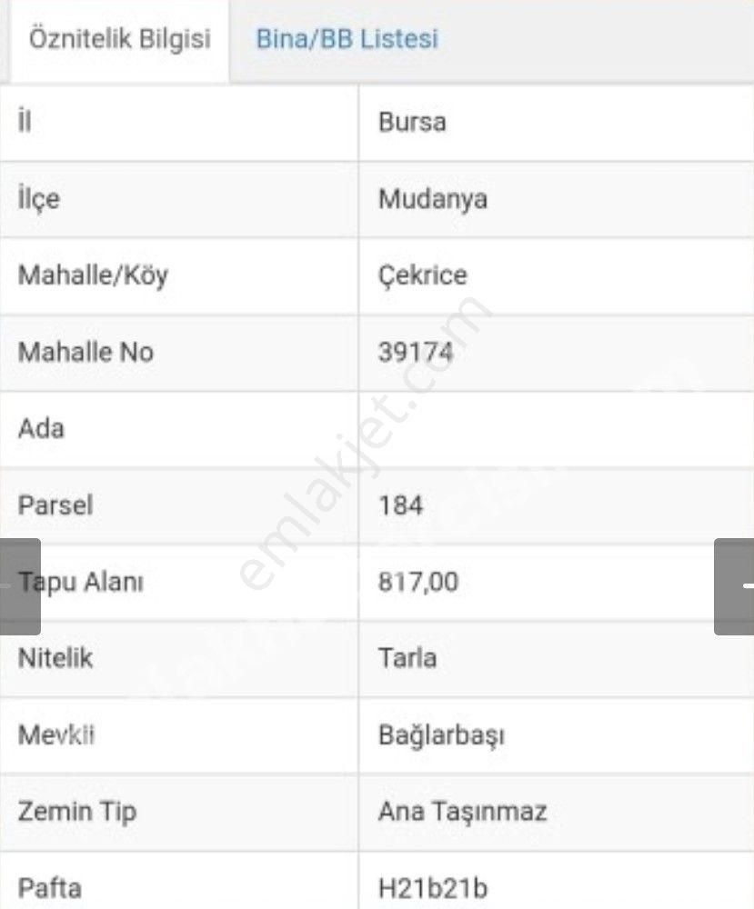 Mudanya Çekrice Satılık Tarla Satılık Tarla