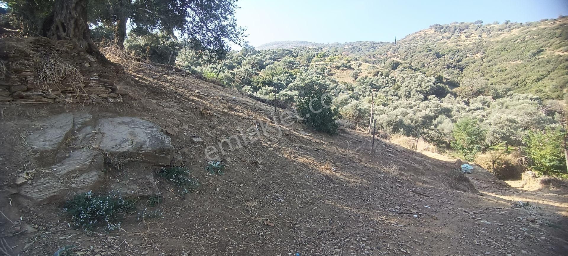 Ali Akdoğan Emlak Ofisinden Köy İçinde Satılık Avlulu Ev - Görsel 16