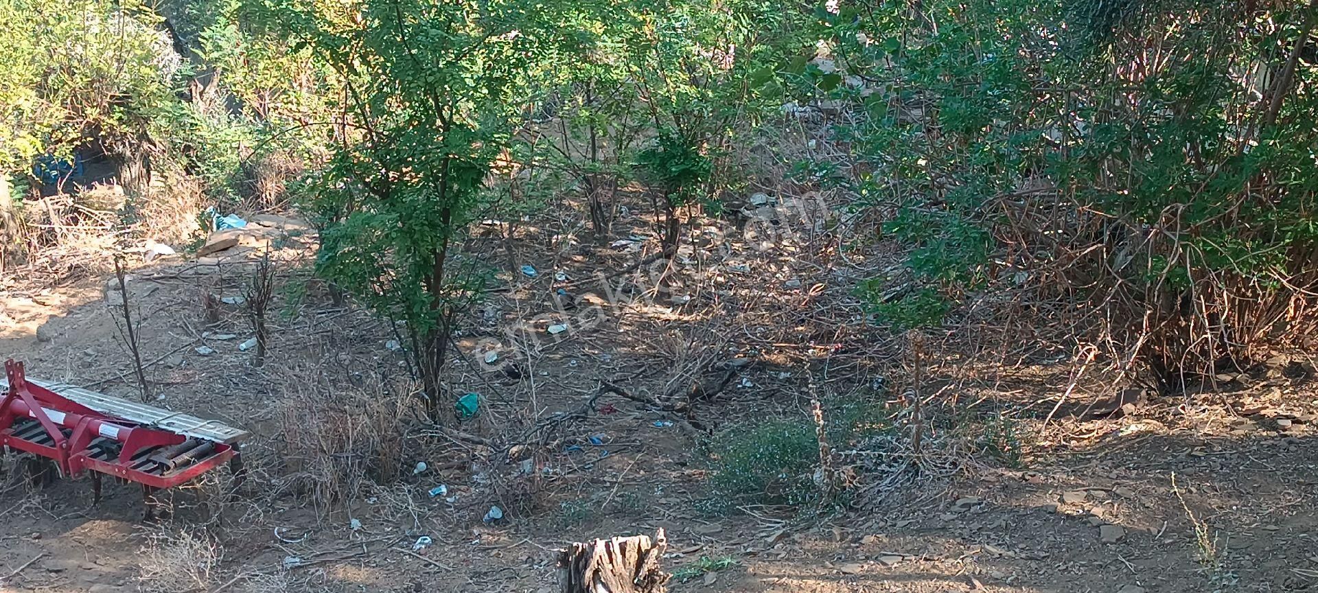 Ali Akdoğan Emlak Ofisinden Köy İçinde Satılık Avlulu Ev - Görsel 7