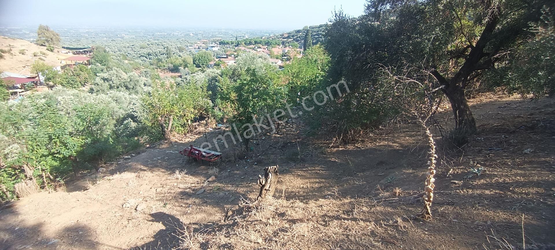 Ali Akdoğan Emlak Ofisinden Köy İçinde Satılık Avlulu Ev - Görsel 8