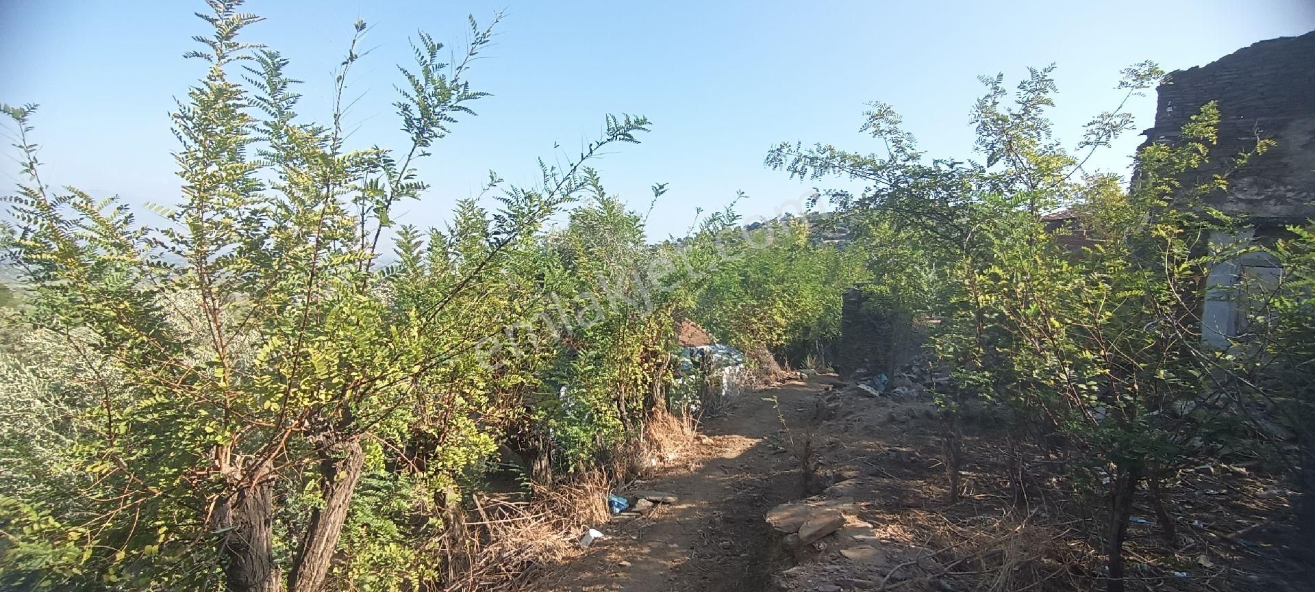 Ali Akdoğan Emlak Ofisinden Köy İçinde Satılık Avlulu Ev - Görsel 11